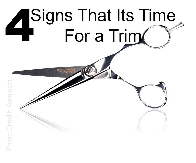 4 Signs Your Hair Needs A Trim | We Have Moved To 
